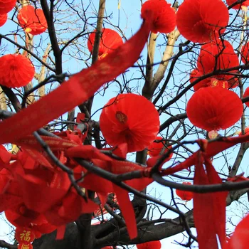 1БР 2024 Китайската Нова Година Традиционен Китайски Червен Фенер Виси Медальон Водоустойчив Фестивал Фенери, Висящи Украшения